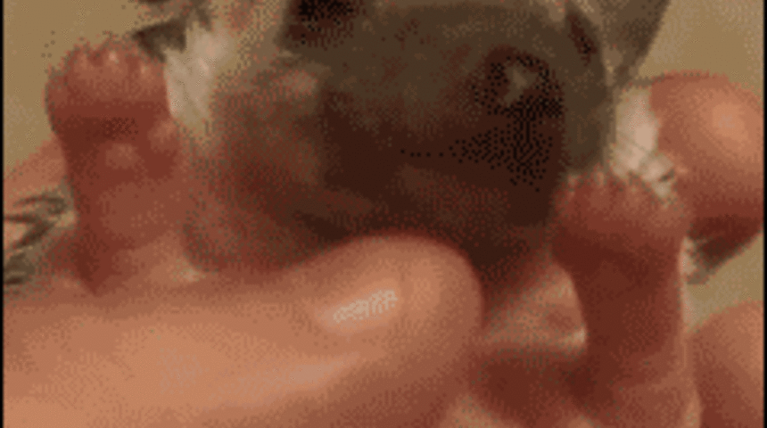 L&uuml;tfen beni sev (13 GIF)