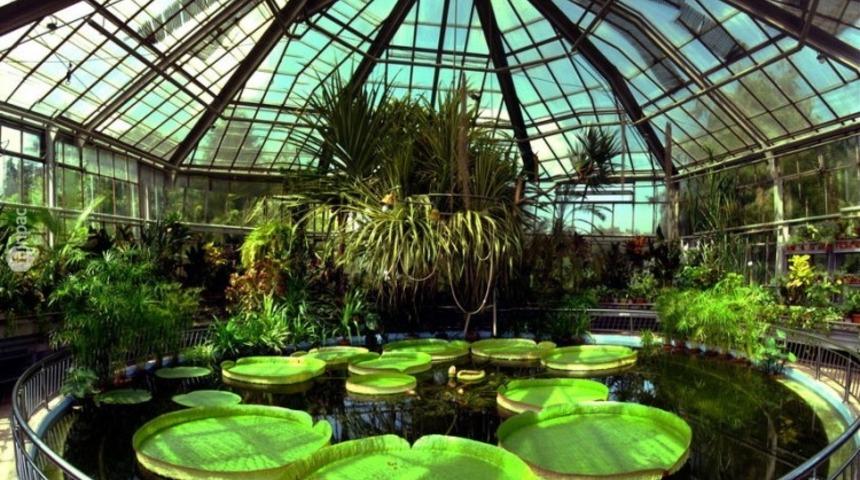 Yemyeşil bir ev için 10 öneri