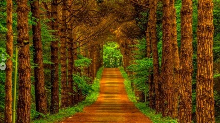 İstanbul'da Koşmayı Keyifli Kılan 5 Yer