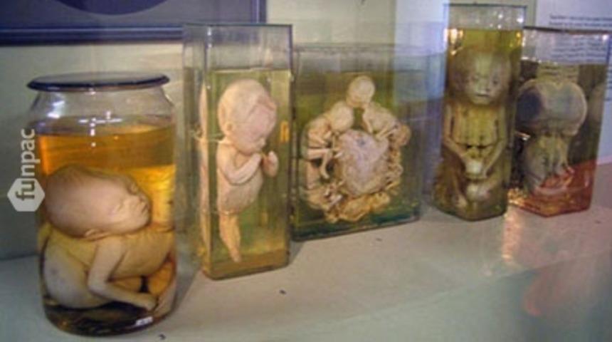 Dünyanın En Garip 10 Müzesi