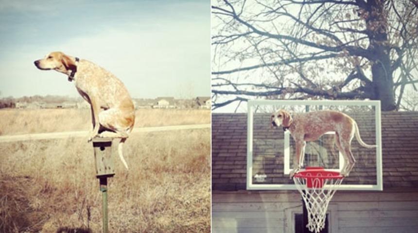 Bir Instagram Ünlüsü: Maddie