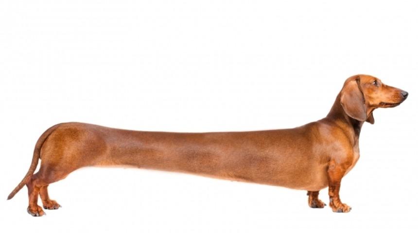 İlişkiyi uzun tutmanın 11 sırrı