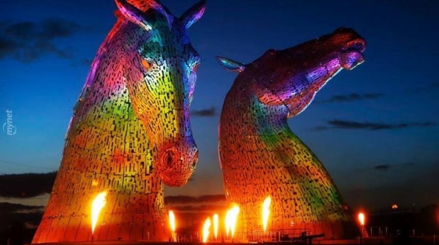 D&uuml;nyanın En B&uuml;y&uuml;k Atları!