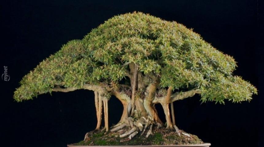 Yok artık! Uyuşturucu &ccedil;etesinin lideri 14 yaşında!