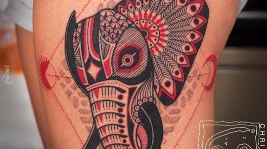 Yeni Başlayanlar İ&ccedil;in 15 Zengin D&ouml;vmesi