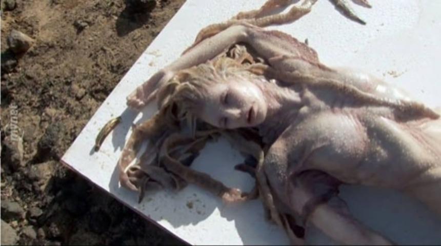 İspanya'da Bulunan Deniz Kızı Herkesi Şok Etti!