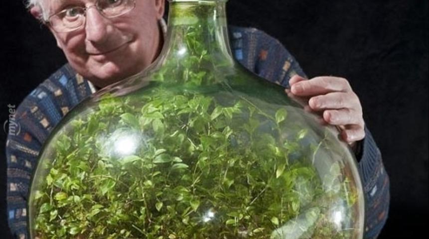 42 Yıldır Kapalı Şişe İ&ccedil;indeki Gizem