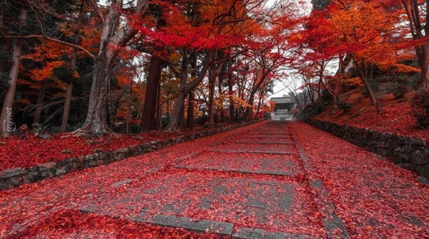 'Yürü Ya Kulum' Dedirten 26 Efsane Park