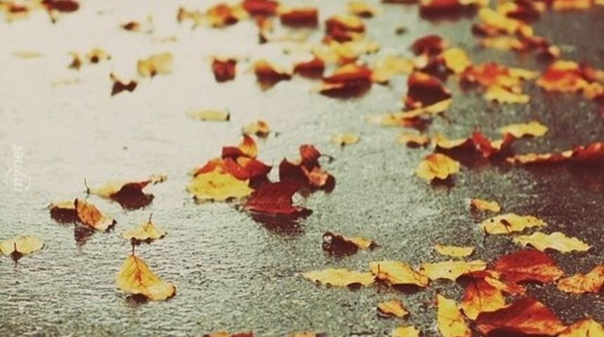 Sonbaharın Geldiğini Anlamanın 13 Yolu