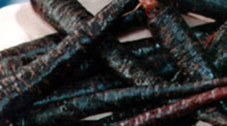 Kara Havu&ccedil;lu Pilav