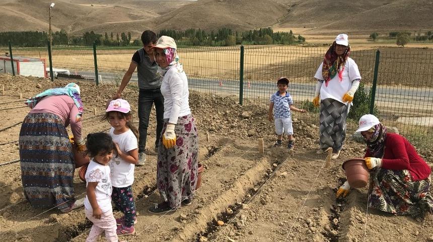 Otlukbeli&rsquo;de s&uuml;s bitkileri eğitimi verildi