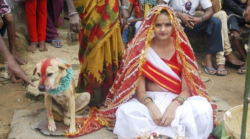 Bu Da Oldu! Genç Kızı Köpekle Evlendirdiler