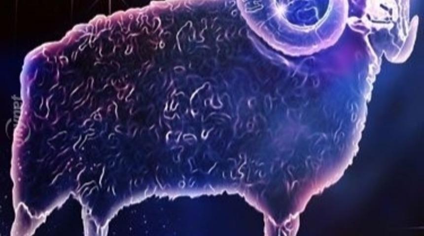 Hoşlandığın &Ccedil;ocuğun Burcunu S&ouml;yle Kim Olduğunu S&ouml;yleyeyim!