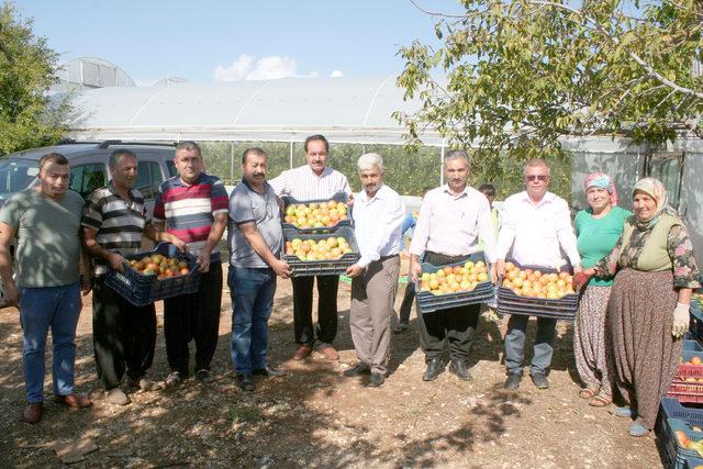 Domates fiyatları üreticiyi sevindiriyor 4
