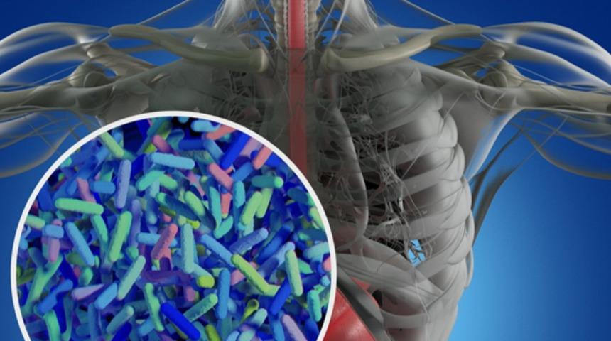 Vücudumuzda artık yeni bir organ var: Mikrobiyom!