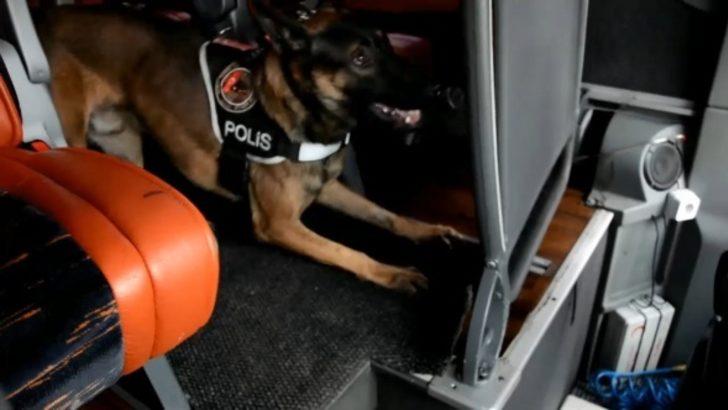 Yolcu otobüsünden eroin fışkırdı! G1