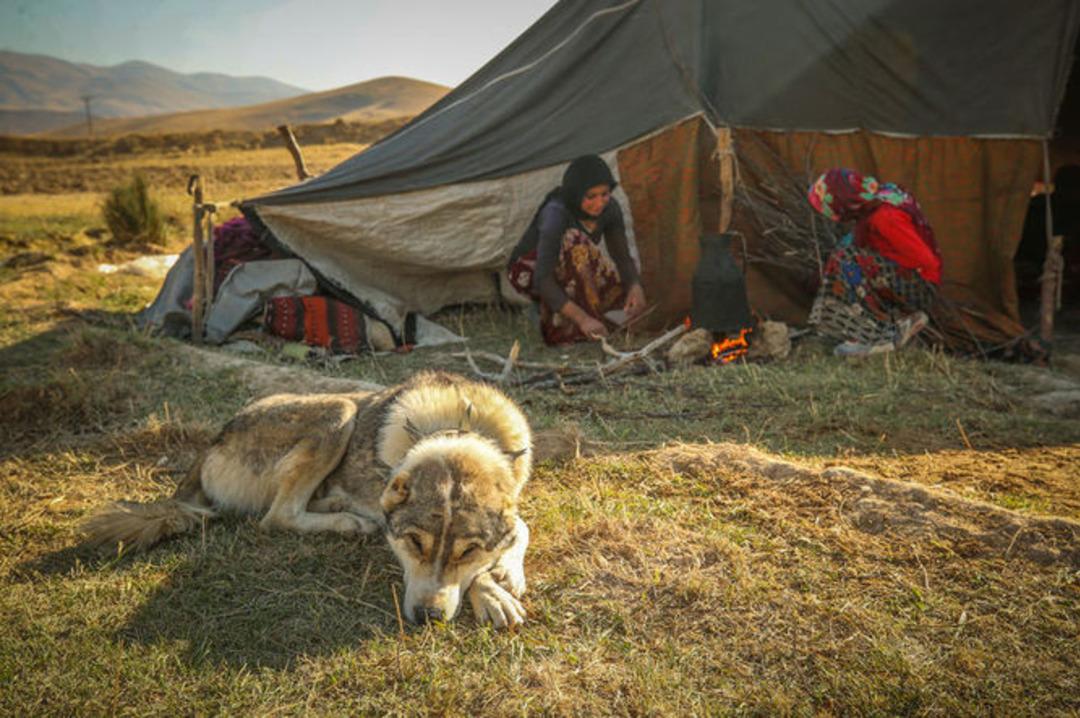 G&ouml;&ccedil;erler d&ouml;n&uuml;ş yoluna ge&ccedil;ti