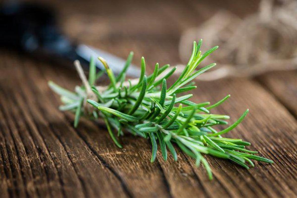 Hangi ağrıya ne iyi gelir? 