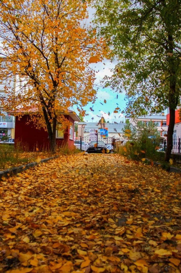 Ardahan’da Sonbahar objektiflerde G2