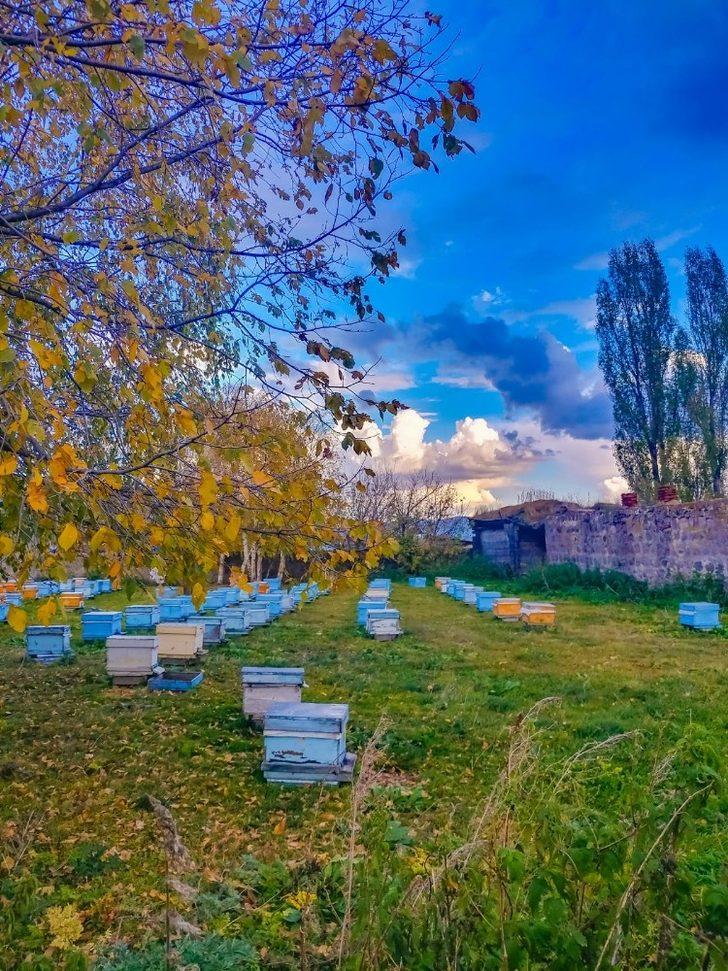 Ardahan’da Sonbahar objektiflerde G3