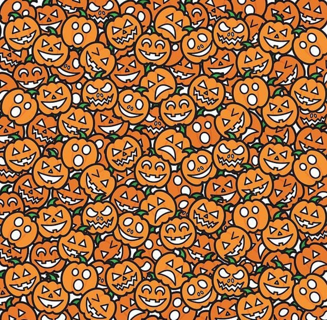 D&uuml;nyanın en zor dikkat testi: Resimdeki kitap nerede? 