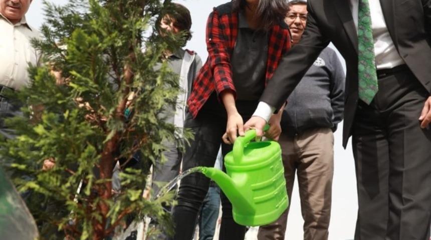 Başkan &Ccedil;olakbayrakdar, liseli gen&ccedil;lerle birlikte fidan dikti