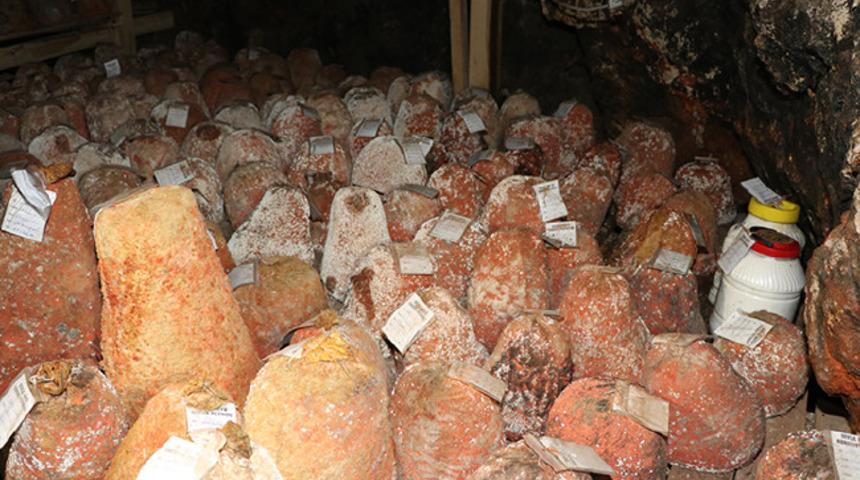 Mağaradan gelen lezzet: Divle obruk peyniri