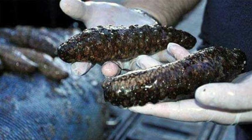 Tekirdağ'da yakalandı! Toplam ağırlığı şoke ett