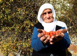 7 yıl kapalı kalan fabrika tekrar üretime geçti