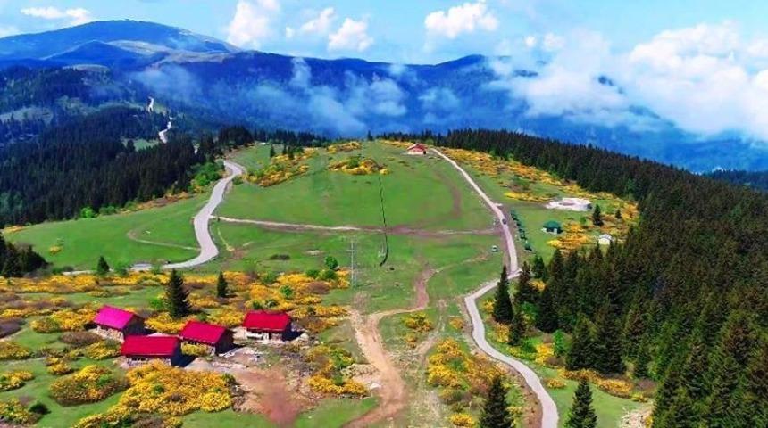 Giresun yaylasında kundaklama