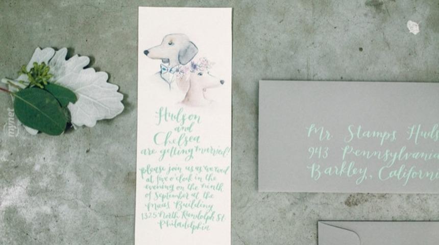 &Ccedil;oğu Evliyi Kıskandıracak Kadar G&uuml;zel Olan İki K&ouml;peğin Evlilik G&ouml;r&uuml;nt&uuml;leri