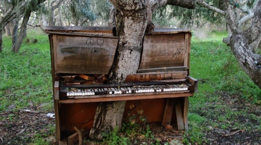 Doğanın Karşısında Hi&ccedil;bir Şeyin G&uuml;&ccedil;l&uuml; Kalamayacağını G&ouml;steren 18 Ger&ccedil;ek Fotoğraf