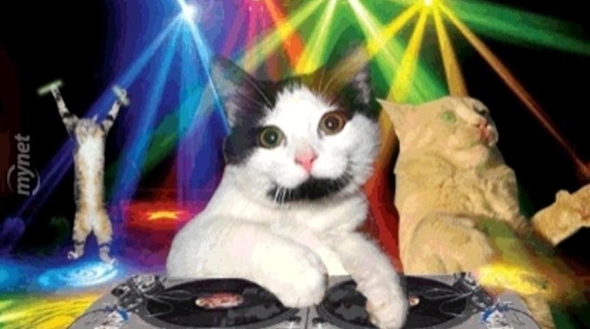 Yaşasın Cuma! Yıldız Tilbe Gibi Dans Ettirecek Harika Bir G&uuml;n Ve Harika 18 GIF