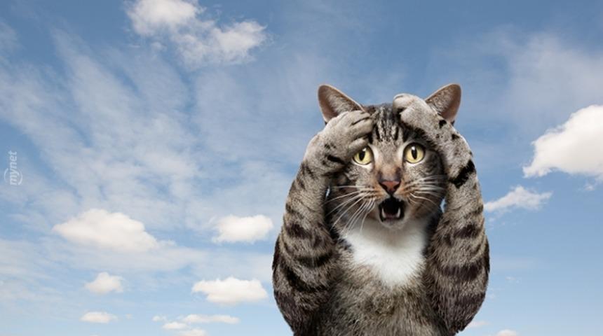 Dünyanın En Pahalı Alkolsüz 7 İçeceği! 