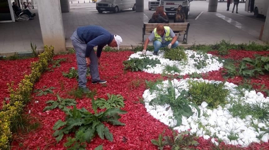 Yabani ot temizleme çalışmaları başladı