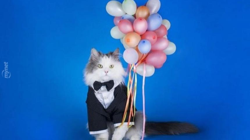 İnsanlara Özenen 13 Mıncırmalık Kedi ve Köpek