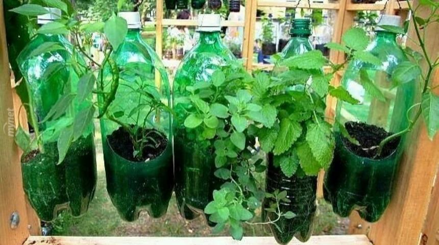 Pet Şişelerle Harikalar Yaratabileceğinizin 9 Kanıtı