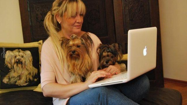 Yorkie'lere Fısıldayan Kadın Selmin Akdağ ve 16 Tatlış Yorkshire Terrier!