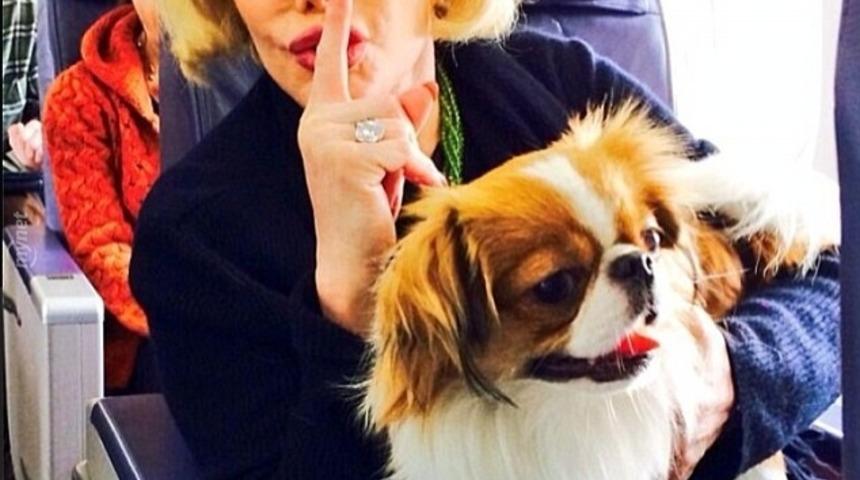 Mirasyedi K&ouml;pekler!