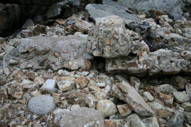 Başarılı Keskin Nişancılığın Sırrı İyi Saklanmakta! Bu 14 Nişancıyı Bulmak Neredeyse İmkansız! 4