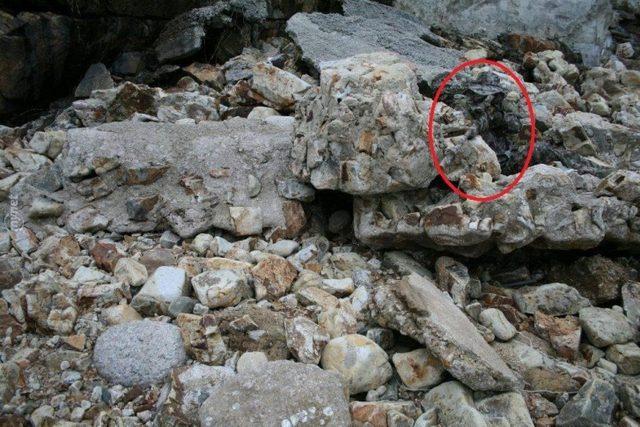 Başarılı Keskin Nişancılığın Sırrı İyi Saklanmakta! Bu 14 Nişancıyı Bulmak Neredeyse İmkansız! 5