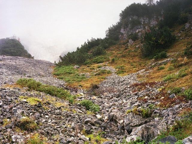 Başarılı Keskin Nişancılığın Sırrı İyi Saklanmakta! Bu 14 Nişancıyı Bulmak Neredeyse İmkansız! 14