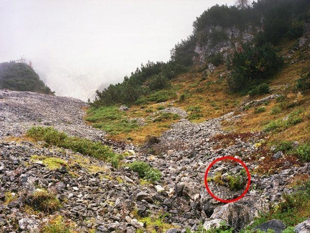 Başarılı Keskin Nişancılığın Sırrı İyi Saklanmakta! Bu 14 Nişancıyı Bulmak Neredeyse İmkansız! 15