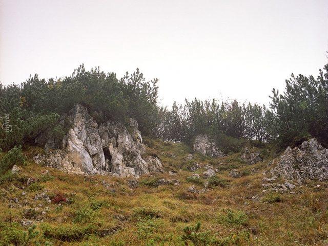 Başarılı Keskin Nişancılığın Sırrı İyi Saklanmakta! Bu 14 Nişancıyı Bulmak Neredeyse İmkansız! 16