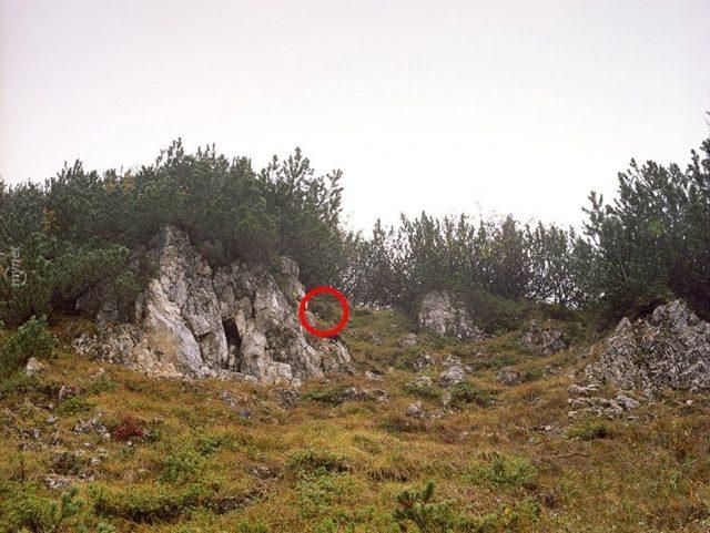 Başarılı Keskin Nişancılığın Sırrı İyi Saklanmakta! Bu 14 Nişancıyı Bulmak Neredeyse İmkansız! 17