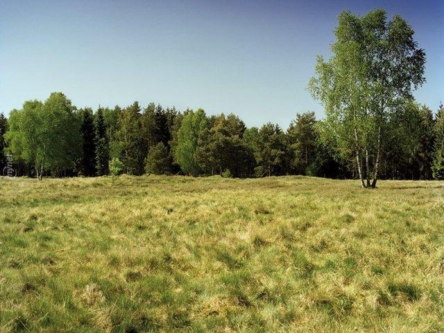 Başarılı Keskin Nişancılığın Sırrı İyi Saklanmakta! Bu 14 Nişancıyı Bulmak Neredeyse İmkansız! 18