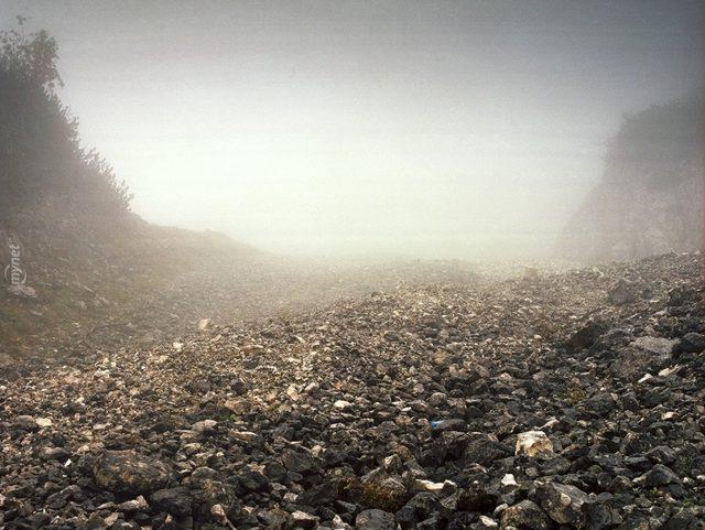 Başarılı Keskin Nişancılığın Sırrı İyi Saklanmakta! Bu 14 Nişancıyı Bulmak Neredeyse İmkansız! 20