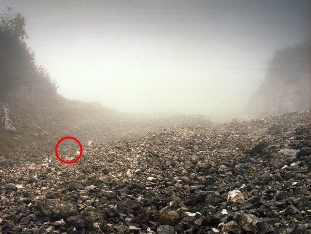 Başarılı Keskin Nişancılığın Sırrı İyi Saklanmakta! Bu 14 Nişancıyı Bulmak Neredeyse İmkansız! 21