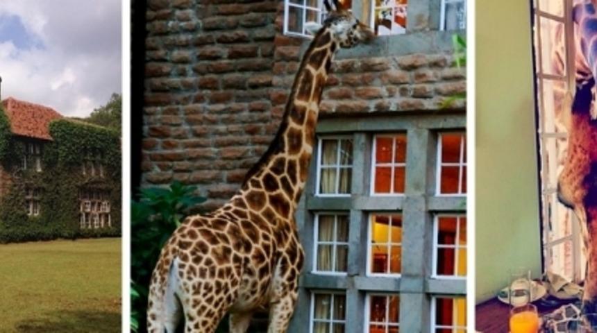 Sonsuza Kadar Yaşamak İsteyeceğiniz Kadar G&uuml;zel 14 Otel