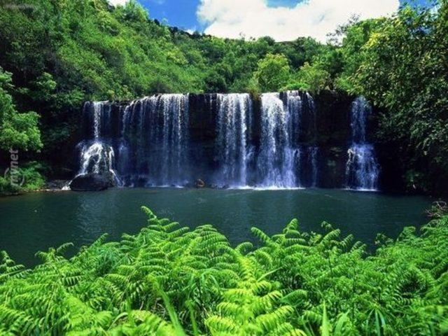 Mark Zuckerberg in 100 Milyon Dolara Cenneti Satın Aldığı İddia Ediliyor! 1